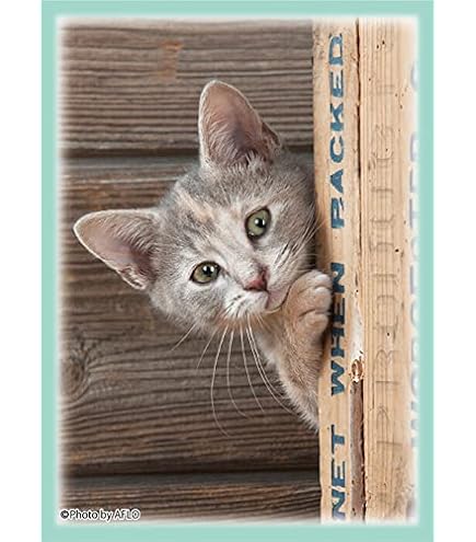 Amazon.co.jp: SUGOIスリーブシリーズ ふるもっふ ねこ ver.4 パック